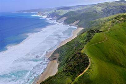 A stunning aerial view of the beaches along the Mornington Peninsula.