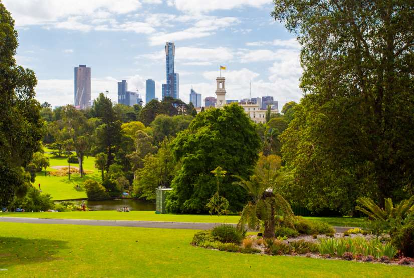 A stunning view of the Royal Botanical Gardens in Melbourne.