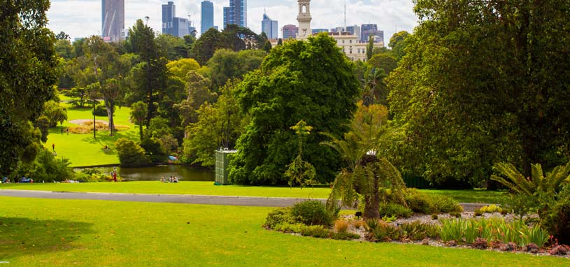 fathers day botanical gardens melbourne